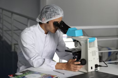 Paketleme Yiyeceklerinize Küçük Plastikler Dökebilir