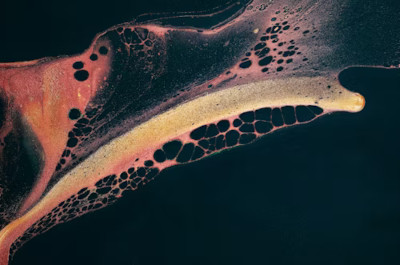 Birçok İnsanda Gizlenen Yaygın Bir Parazit