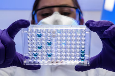 Afrika'daki Ebola Salgınları Küresel Sağlık Acil Durumuna ve ABD Seyahat Uyarılarına Yol Açtı